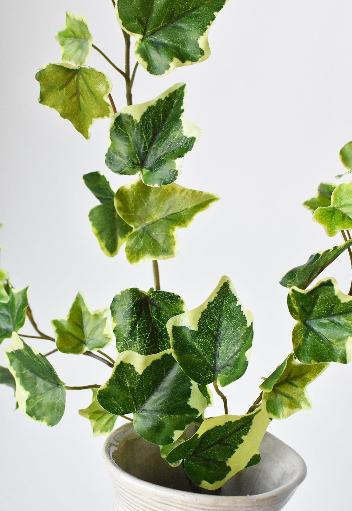 25" Faux Variegated Green Ivy Stem