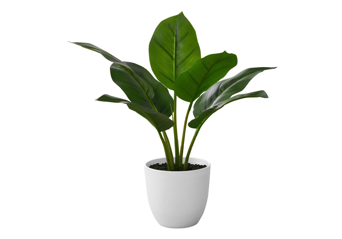 17" Tall, Artificial Plant, Aureum, Indoor, Faux, Fake, Table, Greenery, Potted, Real Touch- Green / White