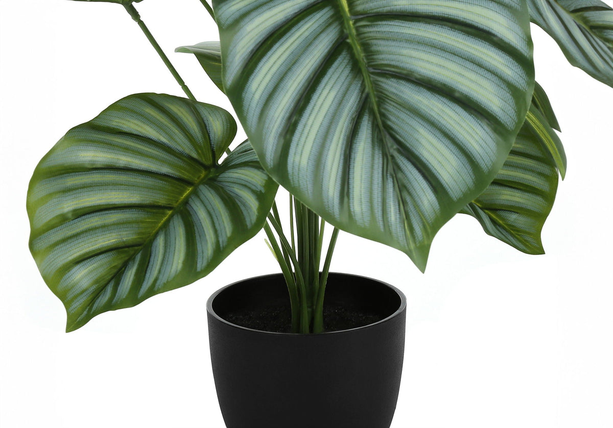 24" Tall, Artificial Plant, Calathea, Indoor, Faux, Table, Potted, Real Touch- Green / Black