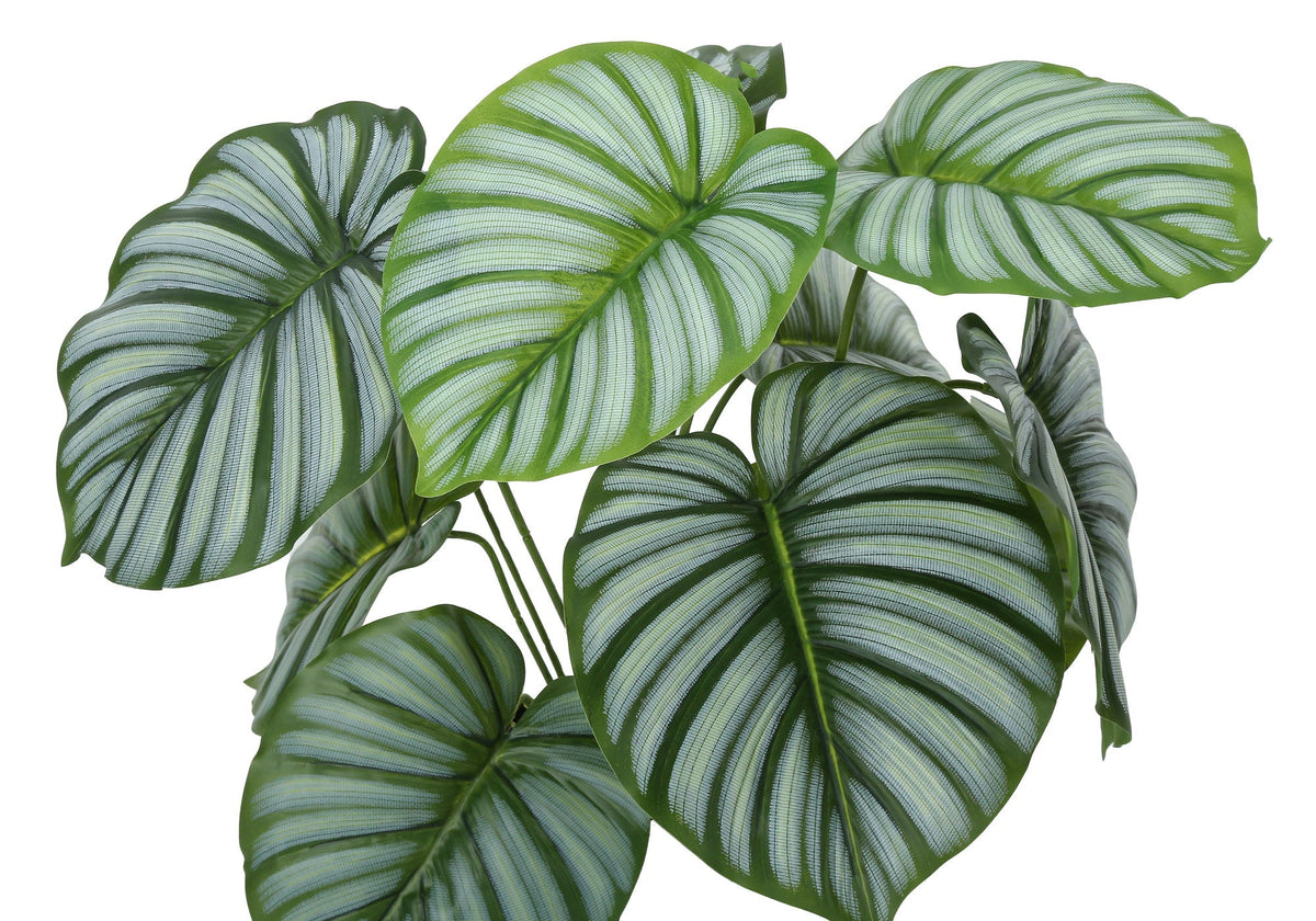 24" Tall, Artificial Plant, Calathea, Indoor, Faux, Table, Potted, Real Touch- Green / Black