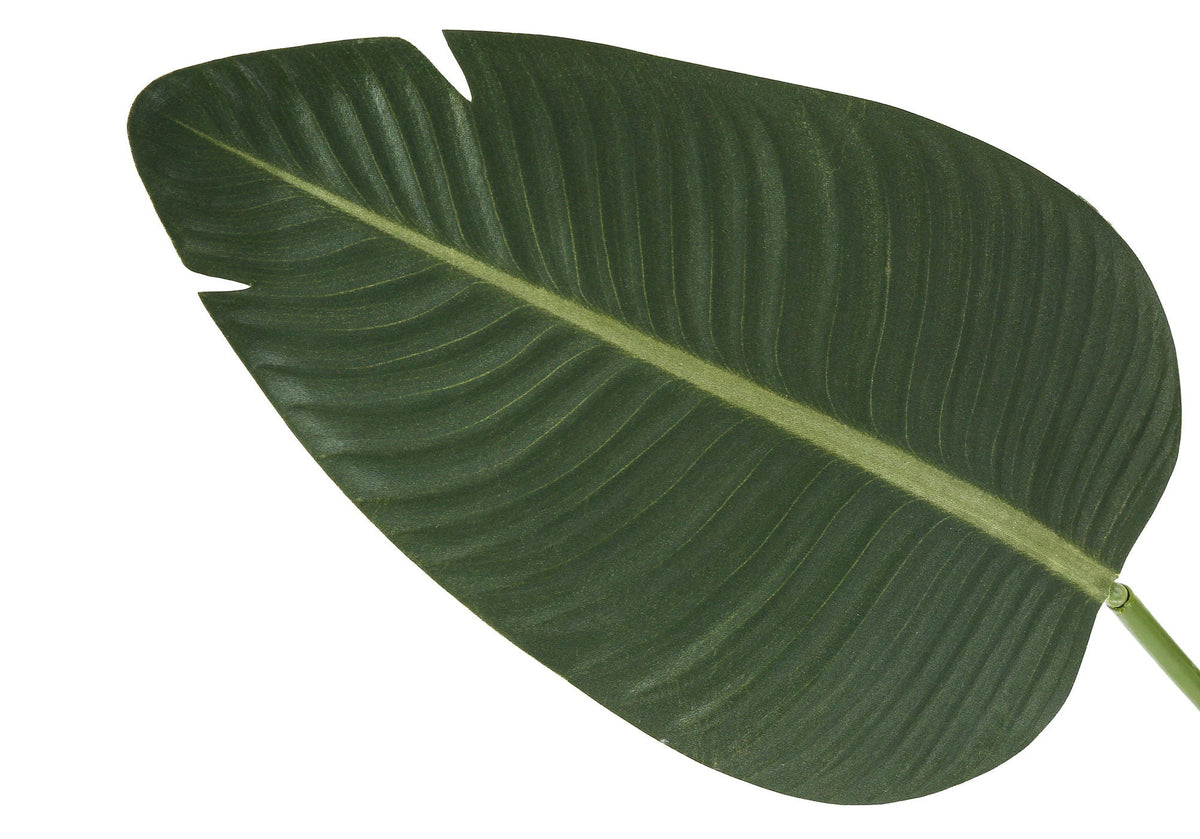 60" Tall, Artificial, Bird Of Paradise Tree, Indoor, Faux, Floor, Greenery, Potted- Green / Black