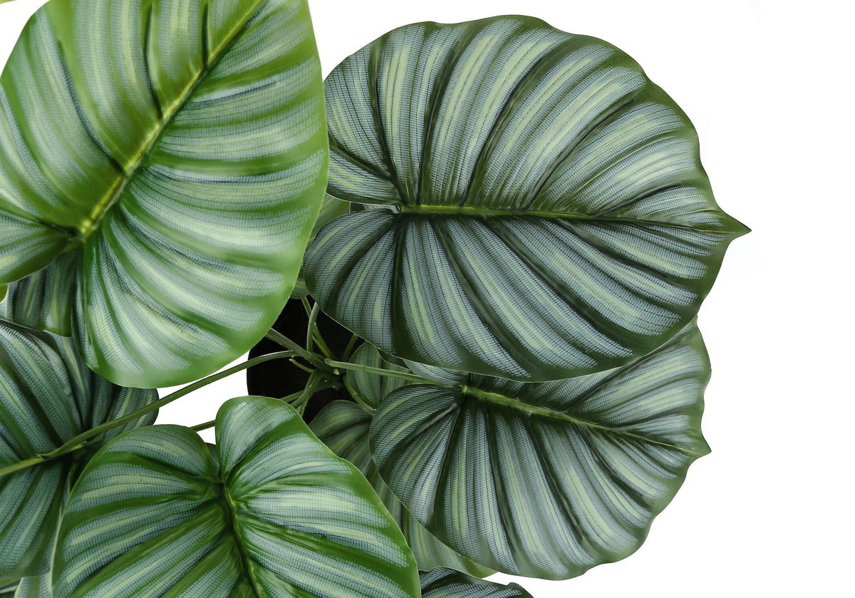 24" Tall, Artificial Plant, Calathea, Indoor, Faux, Table, Potted, Real Touch- Green / Black