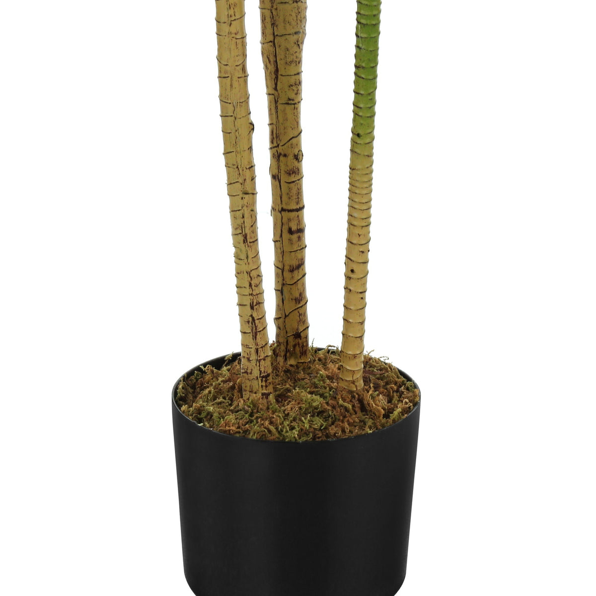 51" Tall, Artificial, Dracaena Tree, Indoor, Faux, Fake, Floor, Potted, Real Touch- Green / Black