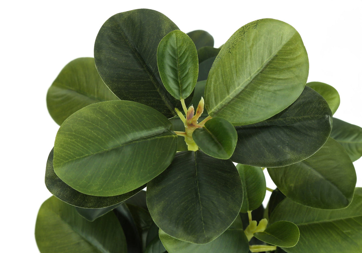 14" Tall, Artificial Plant, Ficus, Indoor, Faux, Fake, Table, Potted (Set of 2) - Green / Black