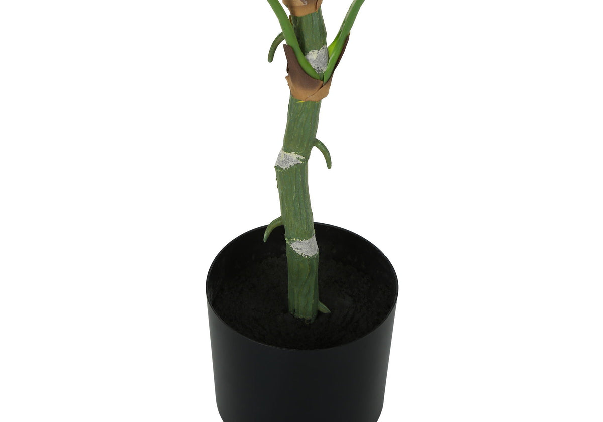 54" Tall, Artificial Dieffenbachia Tree, Indoor, Faux, Floor, Potted, Real Touch- Green / Black
