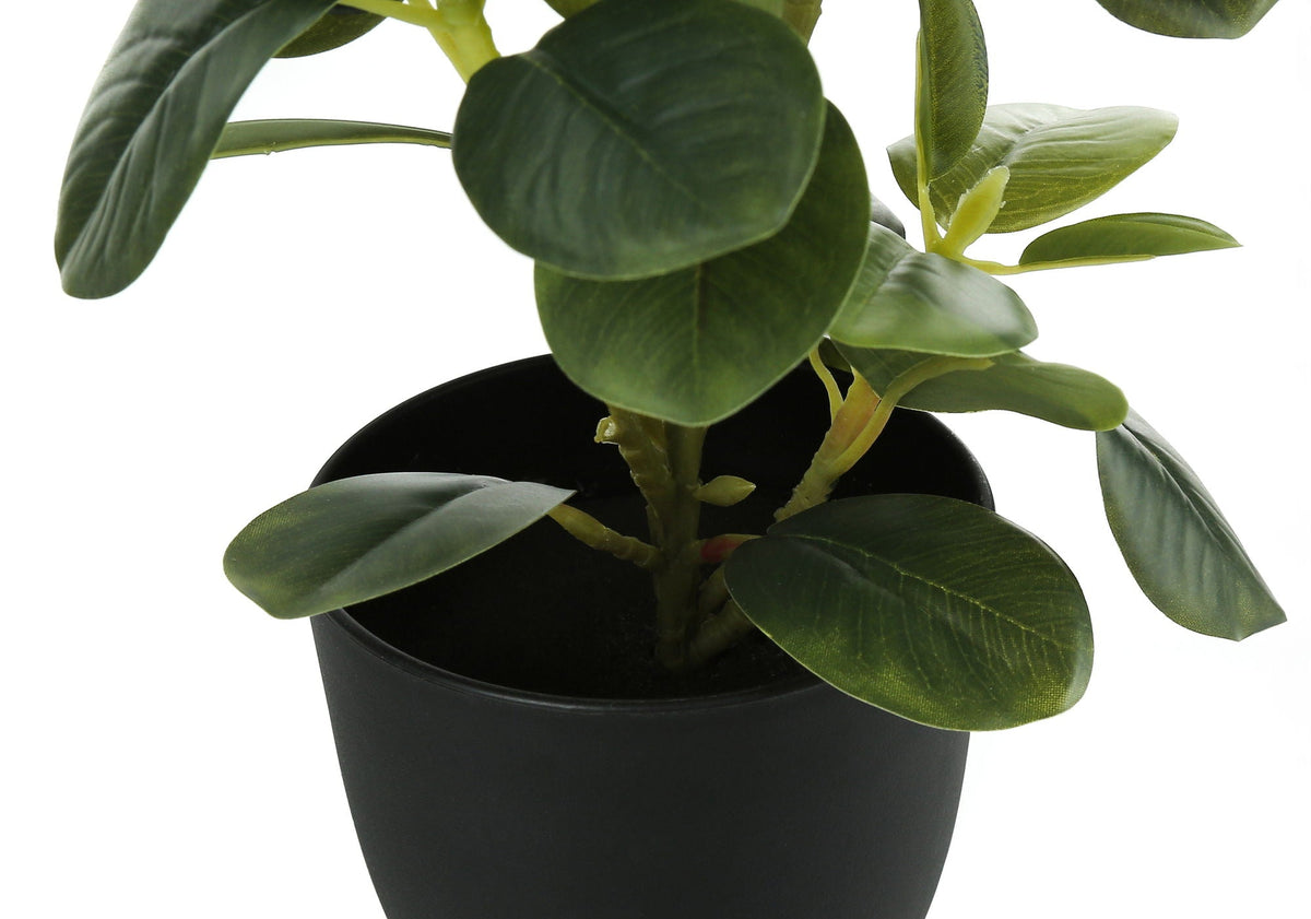 14" Tall, Artificial Plant, Ficus, Indoor, Faux, Fake, Table, Potted (Set of 2) - Green / Black
